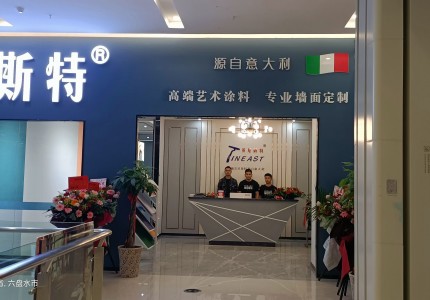 貴州盤州英尼斯特藝術(shù)漆加盟店