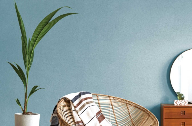 摩爾肌膚漆 藝術漆